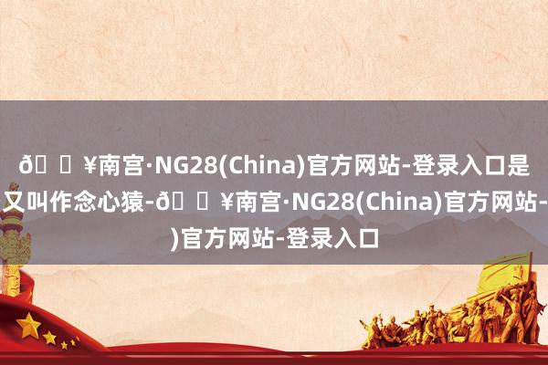 🔥南宫·NG28(China)官方网站-登录入口是以孙悟空又叫作念心猿-🔥南宫·NG28(China)官方网站-登录入口