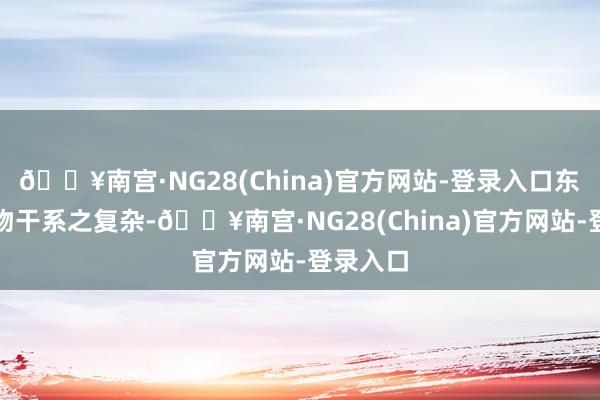 🔥南宫·NG28(China)官方网站-登录入口东说念主物干系之复杂-🔥南宫·NG28(China)官方网站-登录入口