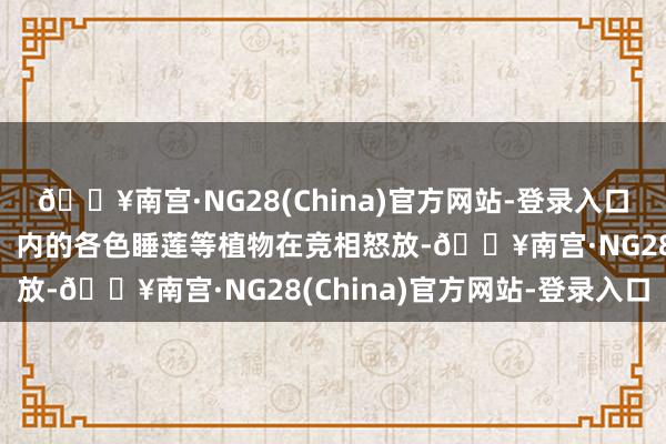 🔥南宫·NG28(China)官方网站-登录入口北京国度植物园（南园）内的各色睡莲等植物在竞相怒放-🔥南宫·NG28(China)官方网站-登录入口